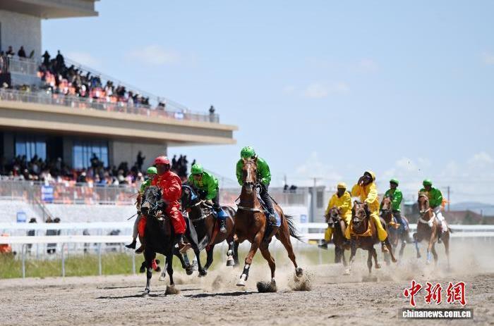 图为赛马选手在格萨尔赛马中心比赛中　中新社记者　九美旦增　摄