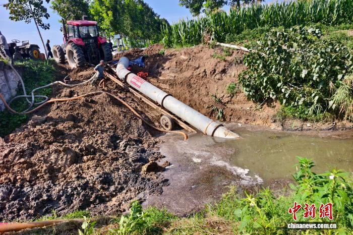 8月14日下午，安徽省淮北市濉溪县百善镇黑臭水体现场，工作人员正在作业。武雷 摄