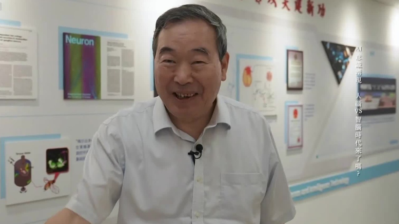 介观脑图谱研究的十项重要成果，会激发哪些未来新应用？