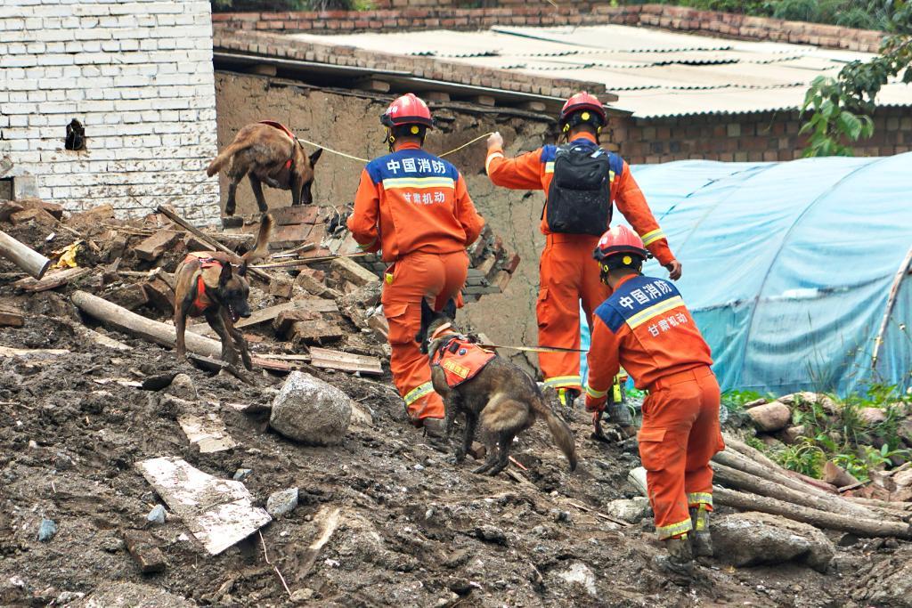 8月9日，甘肃省森林消防总队消防员在榆中县马坡乡旧庄沟村利用搜救犬搜救。新华社发（甘肃省森林消防总队供图）