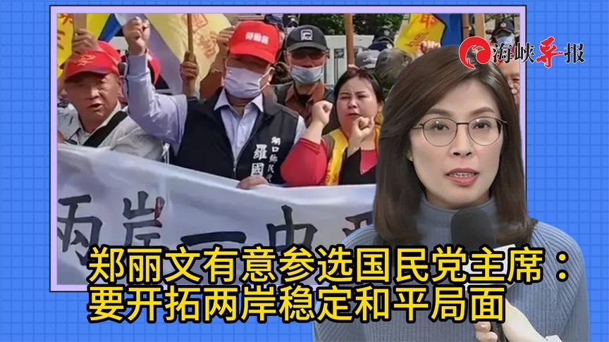 郑丽文有意参选国民党主席：要开拓两岸稳定和平局面