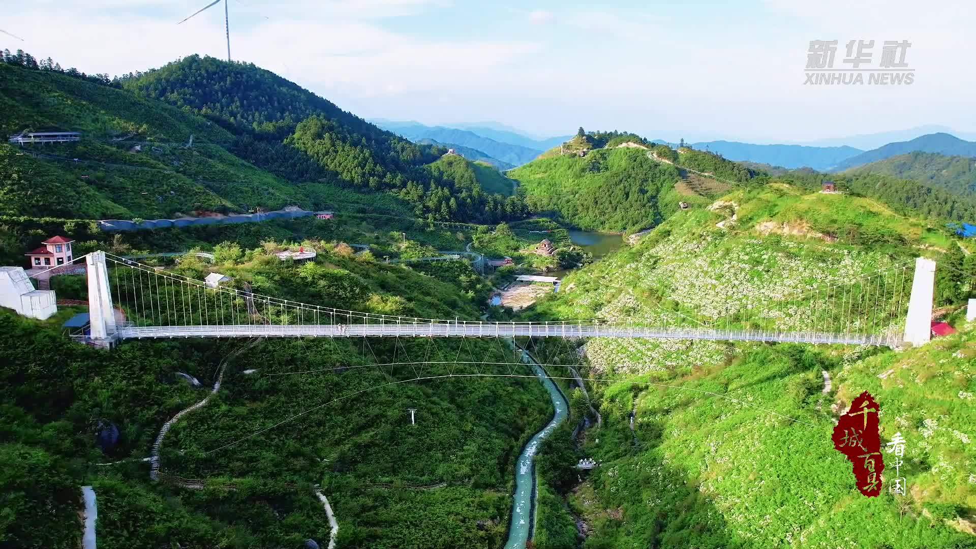 千城百县看中国｜湖南隆回：缤纷绣球营造梦幻花海