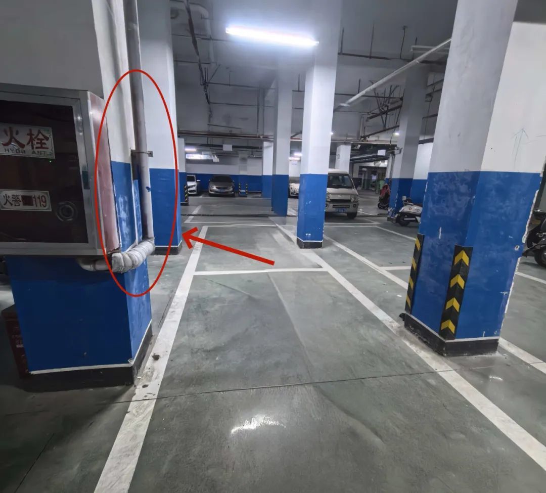 ▲图片由网友提供