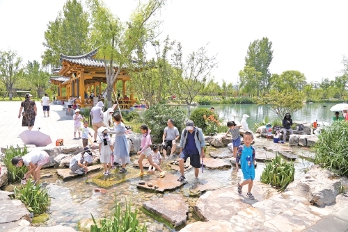 济南再现千年白泉涌沙奇观 生态修复重现诗意泉城