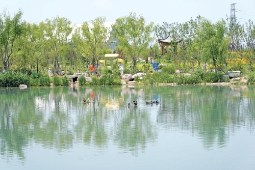 济南再现千年白泉涌沙奇观 生态修复重现诗意泉城