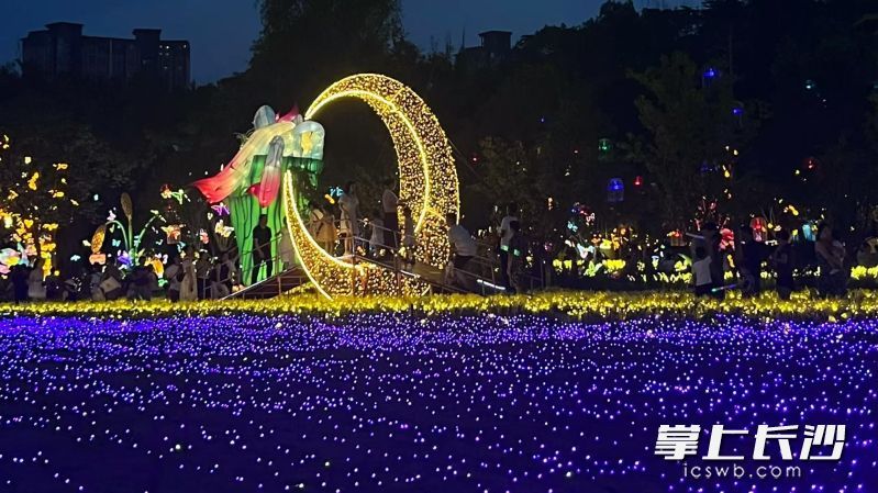 洋湖国家湿地公园的“长沙・光影奇幻夜”带你走进梦幻夜境。受访者颜颜供图