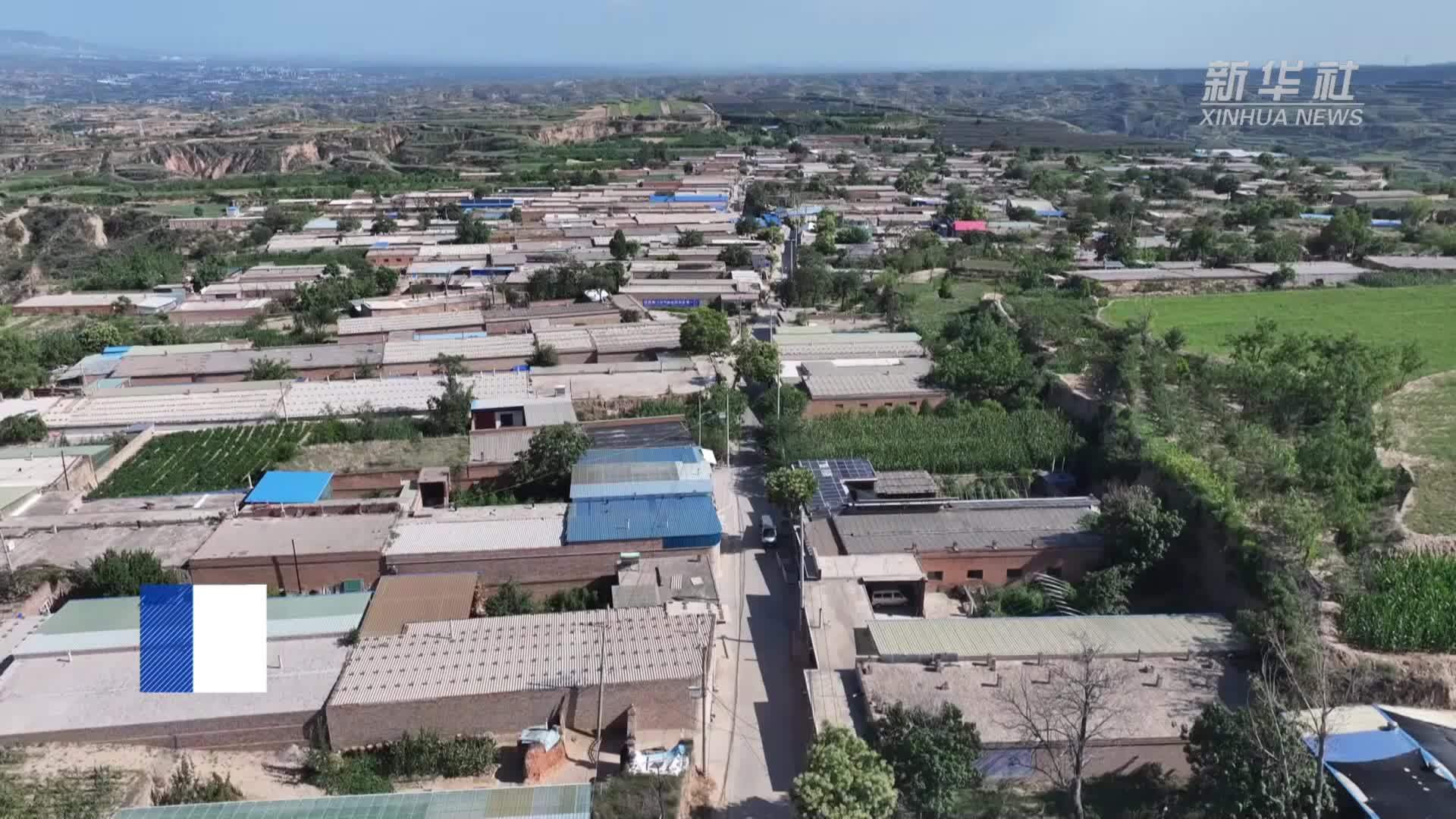 山西汾西：大棚结硕果 拓宽村民增收路径