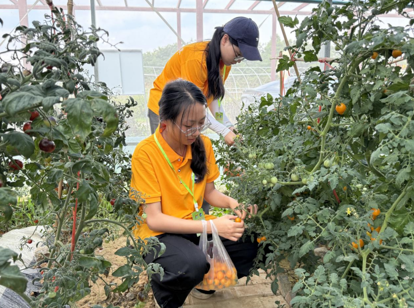江西旅游商贸职业学院“旅商梦”实践队：青春聚力办实事 真情服务惠民生