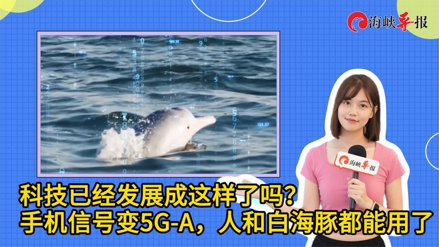 科技已经发展成这样了吗？手机信号变5G-A，人和白海豚都能用了