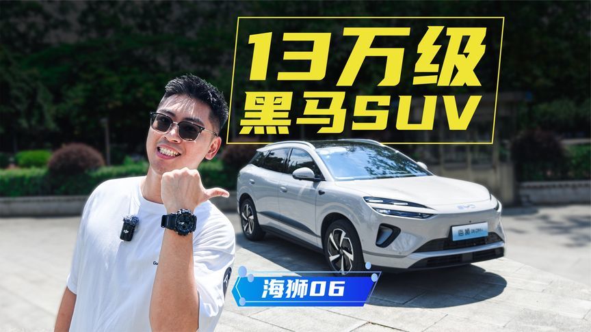13万级标配驾驶辅助+可调悬挂，海狮06成了销量黑马？
