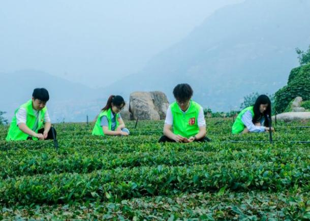 筑梦乡旅赋能乡村振兴 双向奔赴担当青春使命