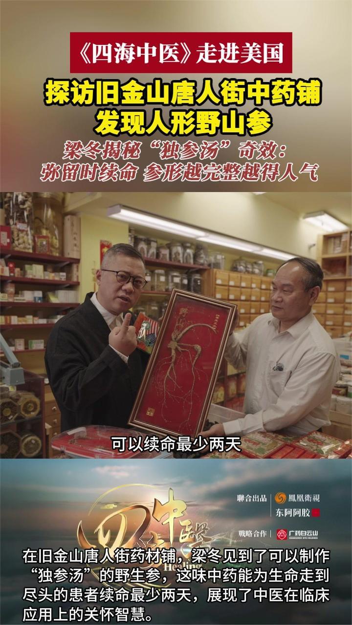 探访旧金山唐人街中药铺发现人形野山参，梁冬揭秘“独参汤”奇效