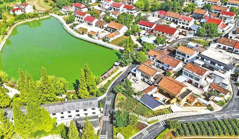 8月6日,汉台区宗营镇杨家山村绿意盎然。 受访者供图