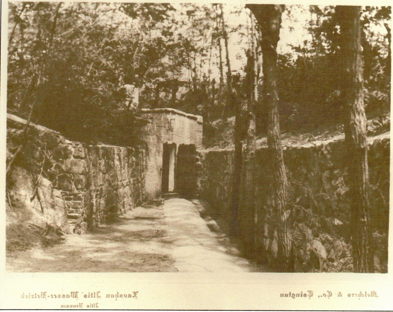 从网友喊话到官宣代言， 青岛饮料集团快速响应打造“听劝营销”新样本