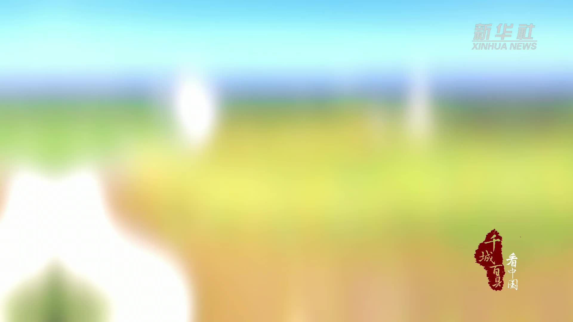 千城百县看中国｜内蒙古：花海喧嚣共赏时