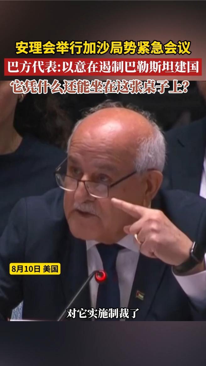 安理会举行加沙局势紧急会议，巴方代表：以意在遏制巴勒斯坦建国