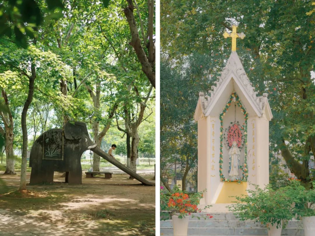 小红书@一张孙孙/Eduard