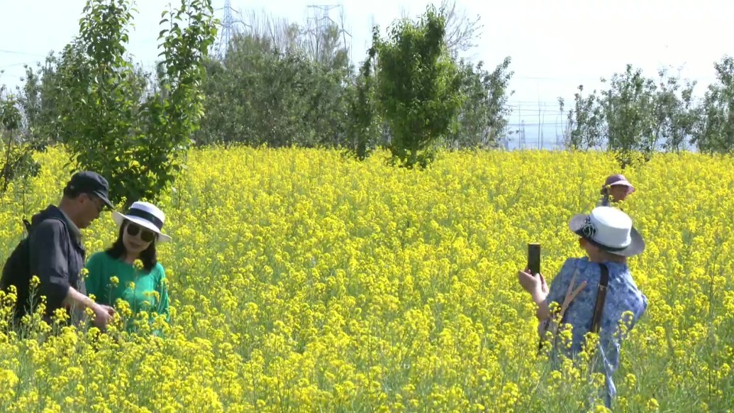 肃州区打造特色活动　激活文旅市场