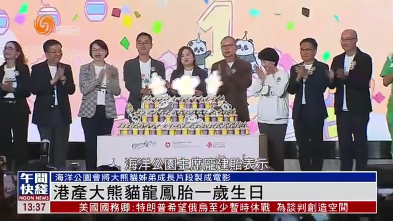 粤语报道｜港产大熊猫龙凤胎一岁生日