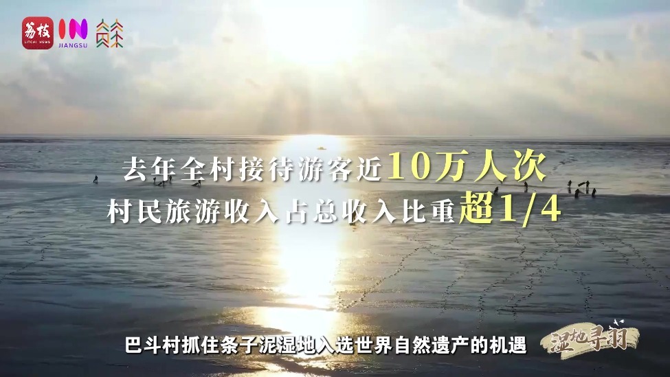 “县”在起笔 青绿绘江山 | 翩翩“湿”意，守住飞鸟的远方