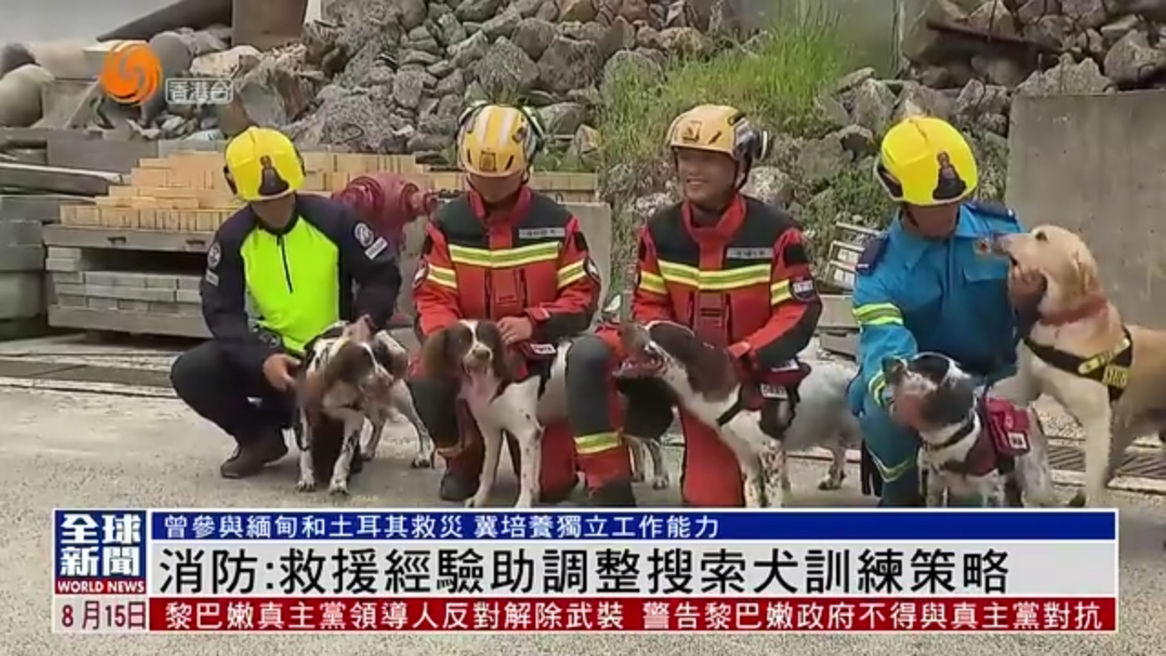 粤语报道｜香港消防处：救援经验助调整搜索犬训练策略