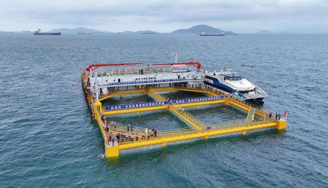 今年5月,现代化海洋牧场“标准海”样板区(隘洲)项目在珠海万山隘洲海域投产。南方+记者 关铭荣 摄