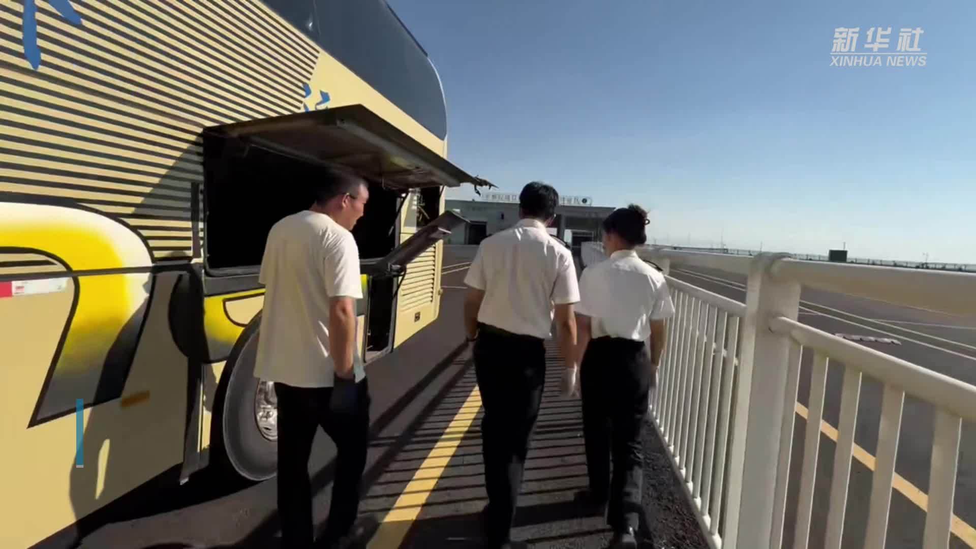 海关查获棕熊熊掌