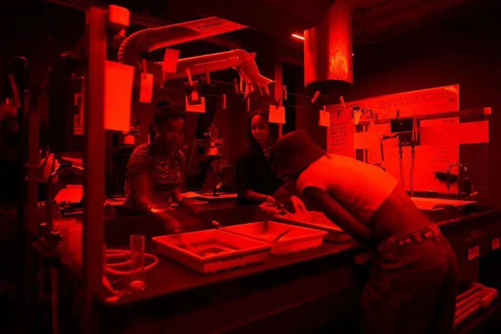 乔布斯崇拜的人,与他那“杀不死”的相机