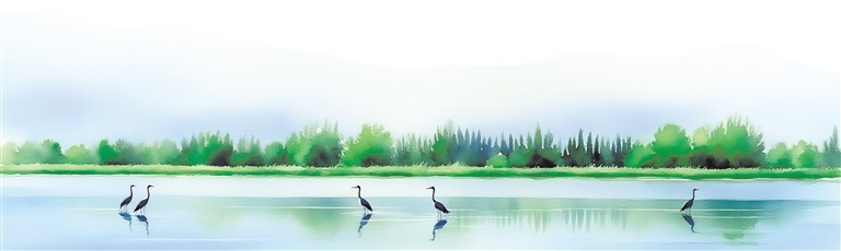 8月11日,数只珍稀鸟类在孟州市白墙水库驻足休憩,宛如一幅秀美的生态画卷。 (原图为张泽斌 摄)