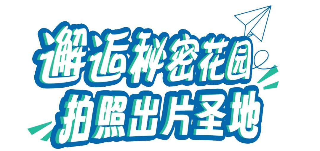 64023 (2).png