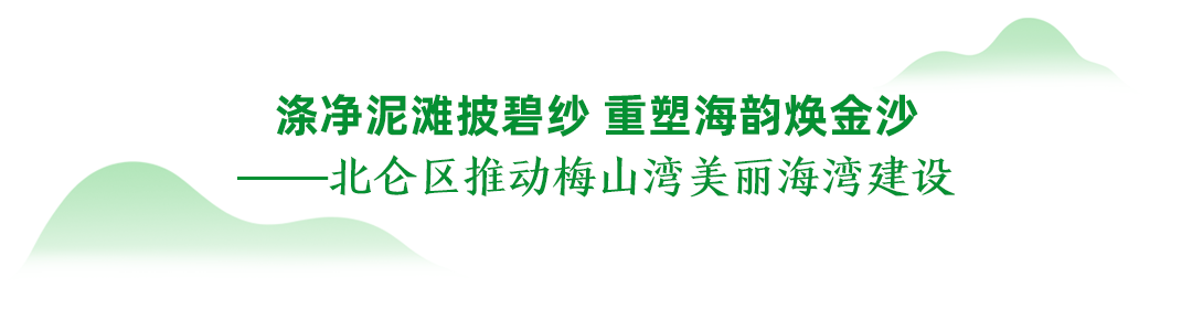 宁波十大“两山”实践典型案例 |北仑：涤净泥滩披碧纱 重塑海韵焕金沙