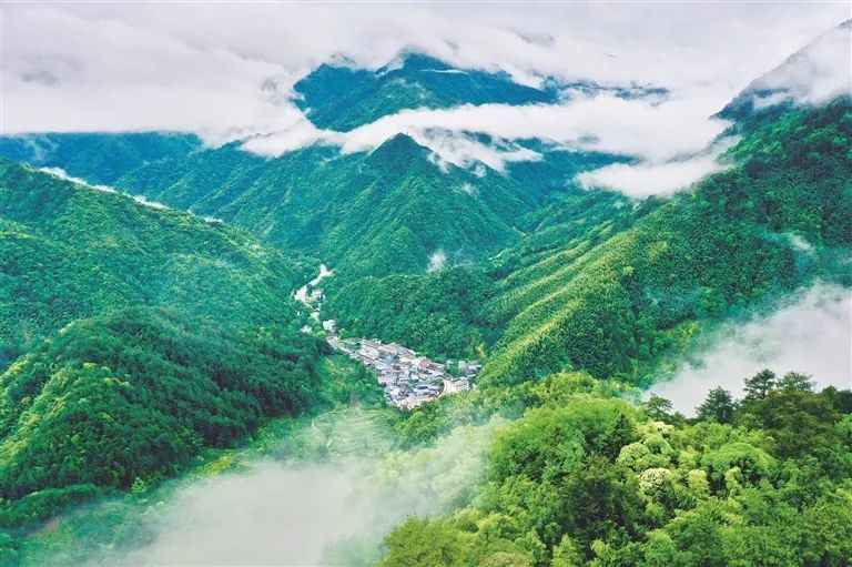 图为群山环抱、云雾缭绕的福建武夷山国家公园。 新华社记者 姜克红 摄