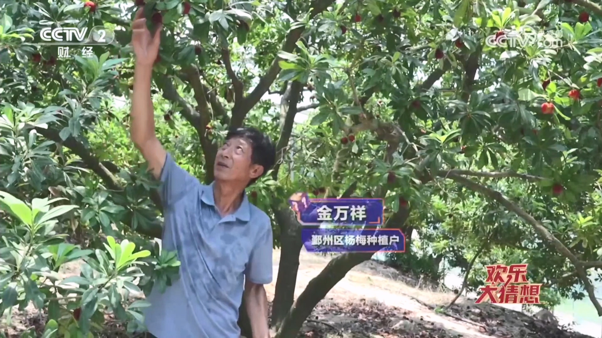 咸祥元素闪耀央视《欢乐大猜想》 七分钟解锁乡村宝藏魅力