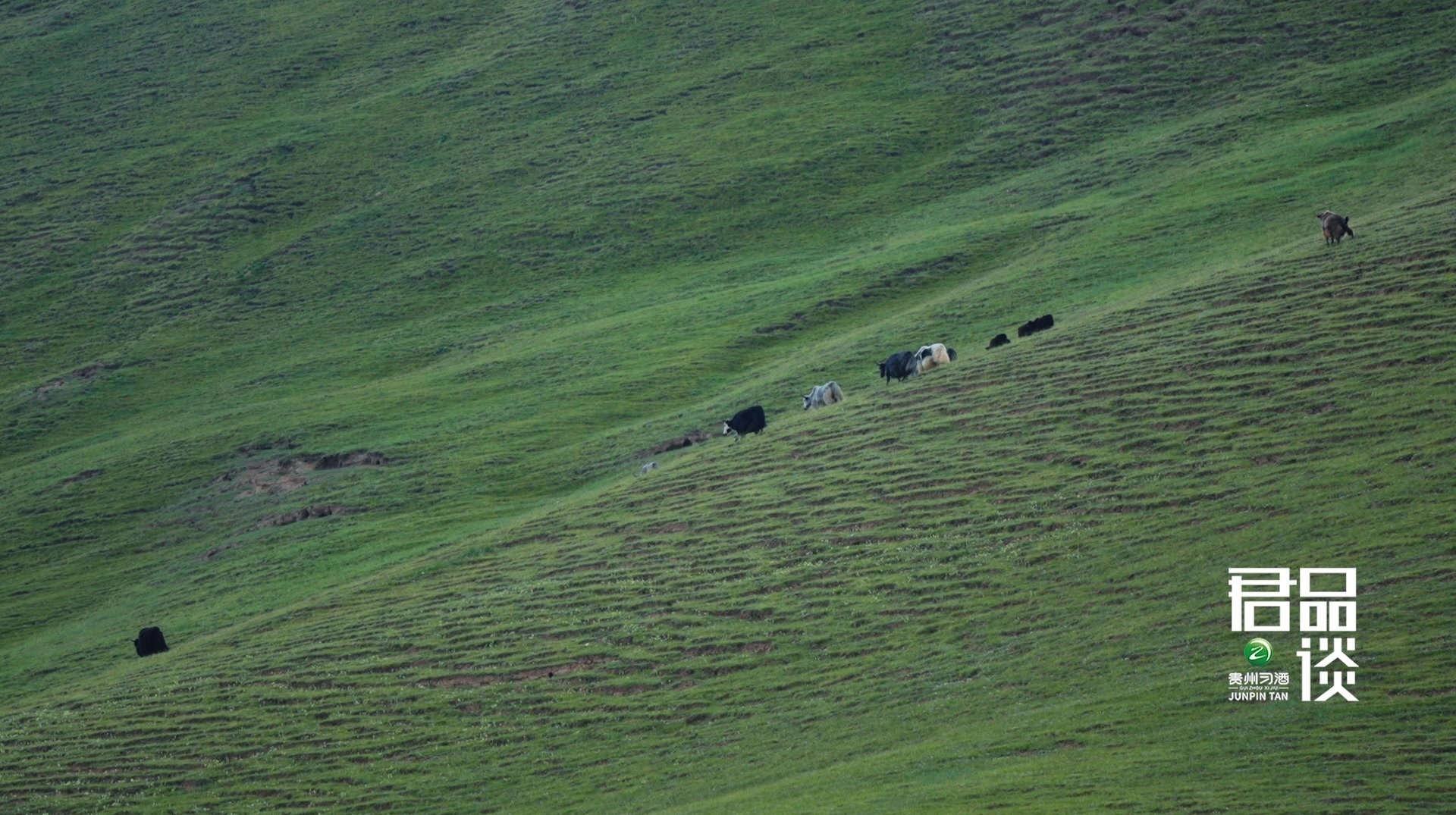 女儿说：“这是爸爸的隧道”——一个工程师最骄傲的“错过”