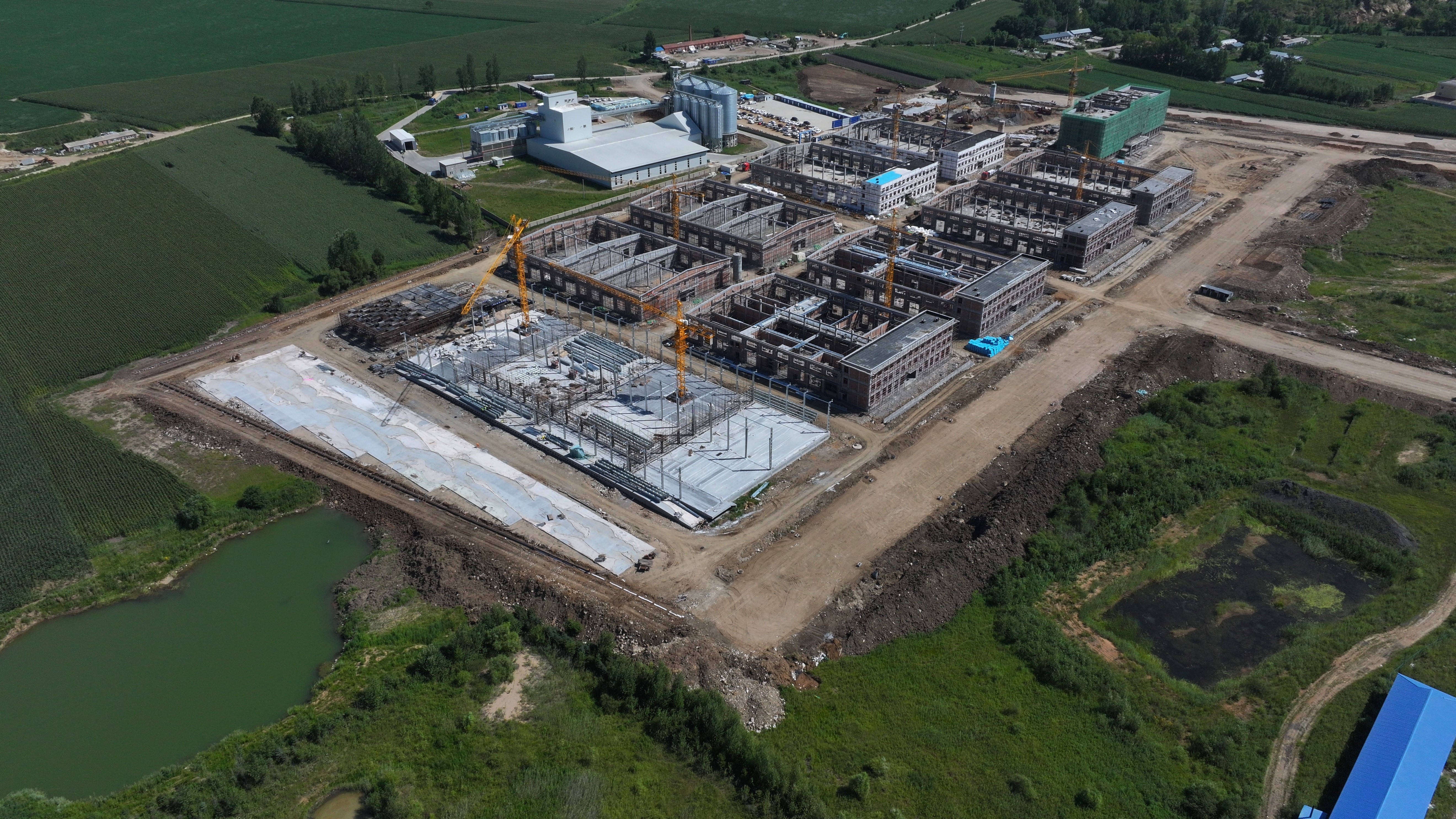 田野中正在打造的“产业方舟”