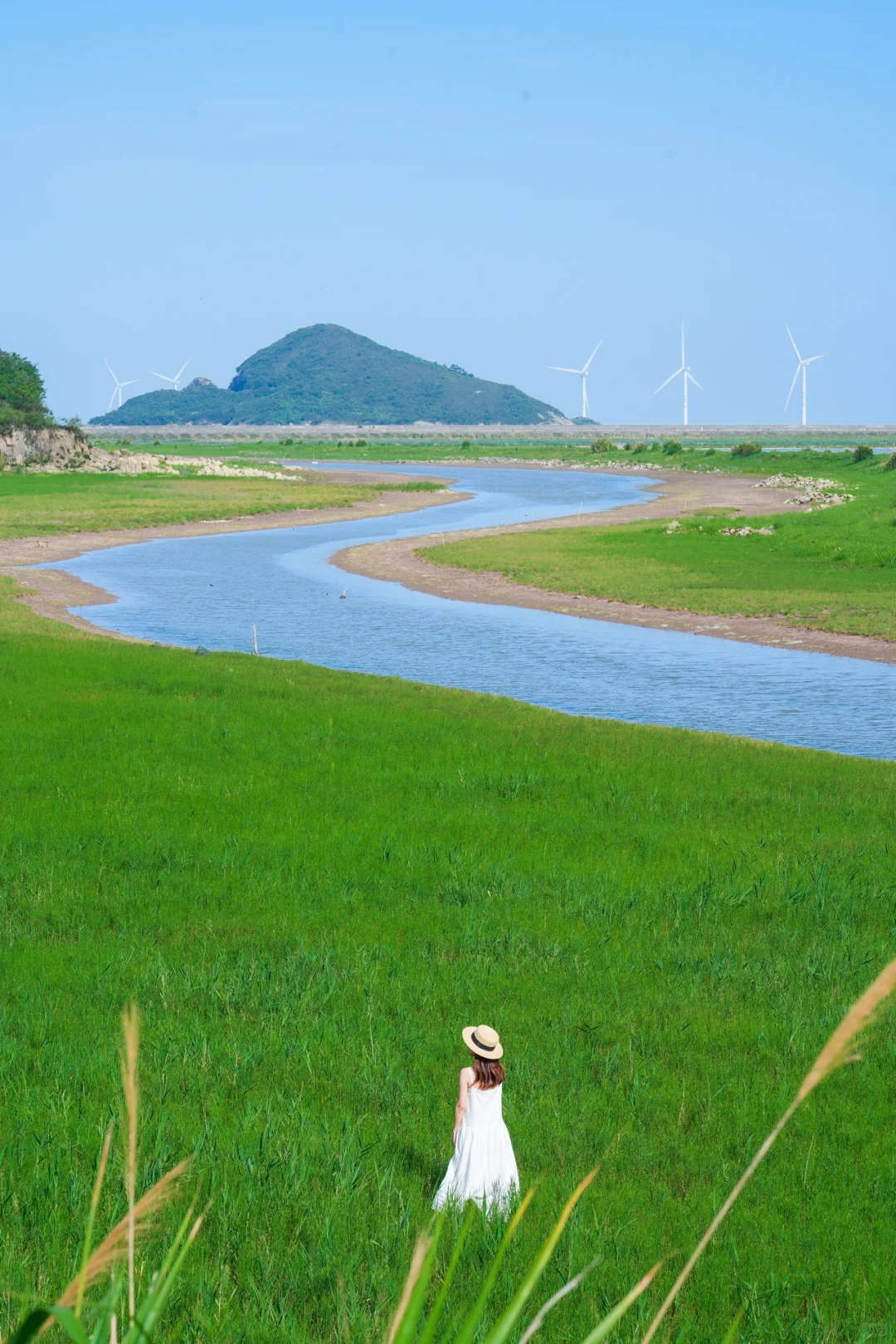 公众号&copy;网洪想红了