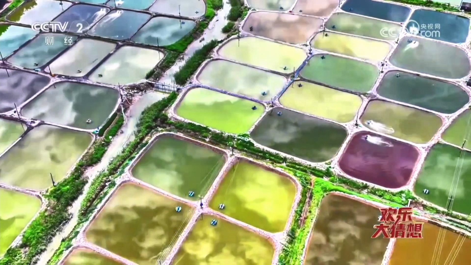 咸祥元素闪耀央视《欢乐大猜想》 七分钟解锁乡村宝藏魅力