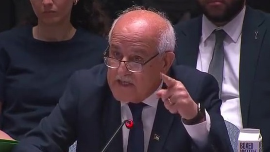 巴方代表：以色列接管加沙，是想阻止巴勒斯坦建国