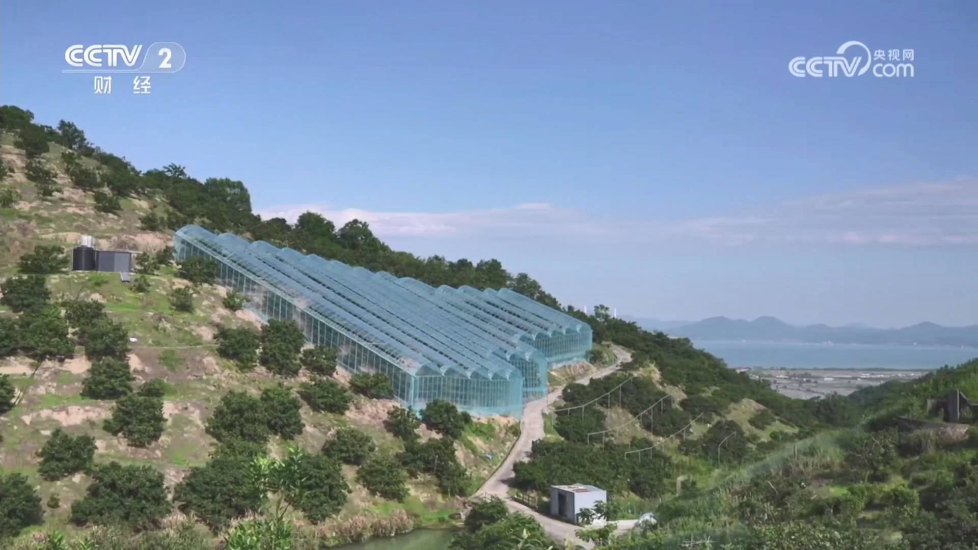 咸祥元素闪耀央视《欢乐大猜想》 七分钟解锁乡村宝藏魅力