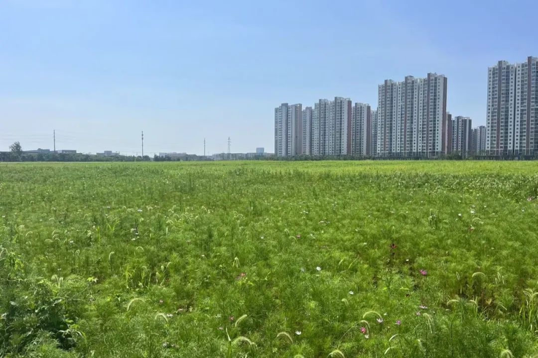 ▲锡山人民医院东地块