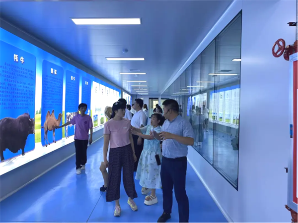 点击查看原始图片