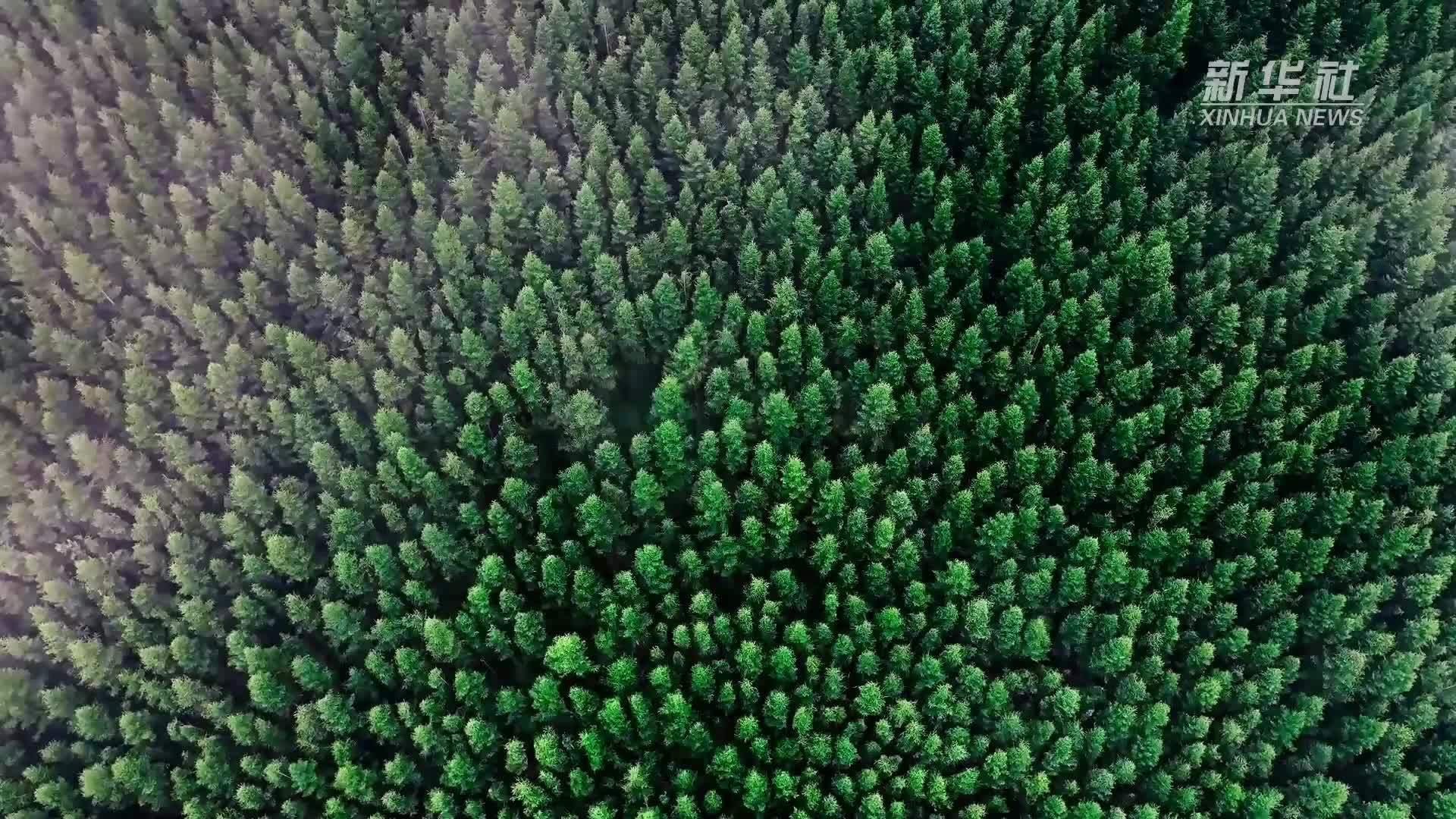 山西五台山：云漫清凉界