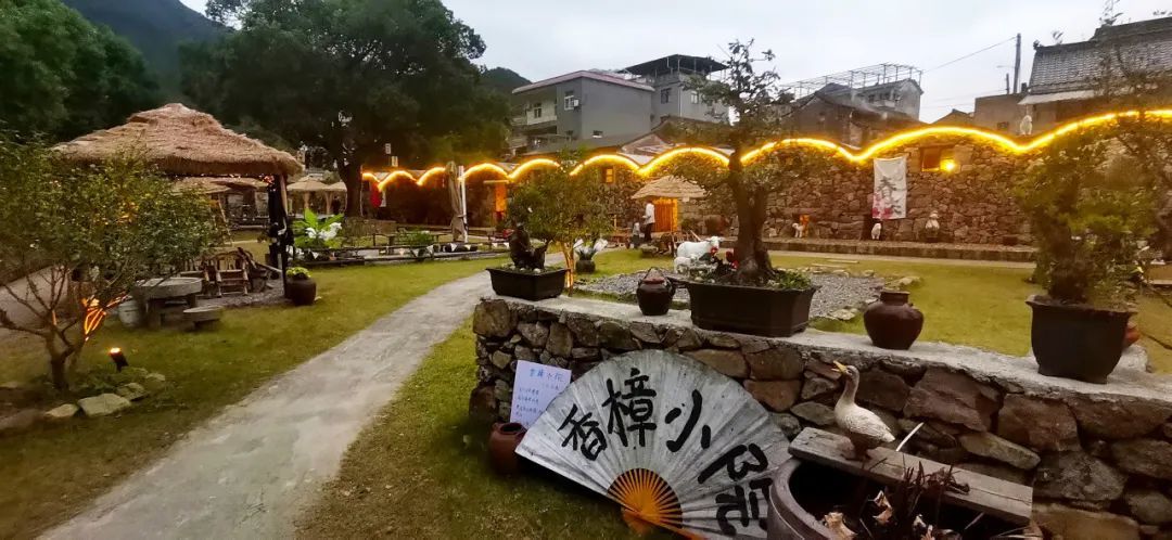 东陈乡樟岙村“香樟小院”一角。