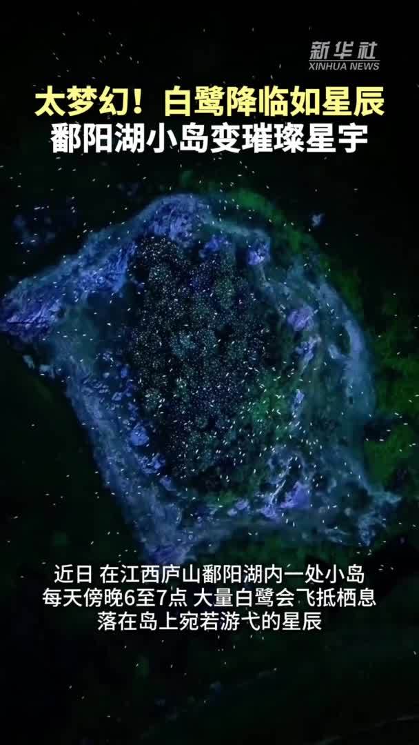 秀我中国｜在鄱阳湖小岛遇见“星辰大海”