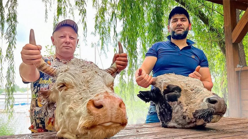 50斤重的大头牛，看俄罗斯人是怎么做美食吃的