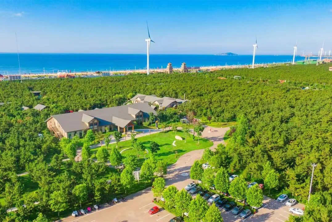 威海首个A1赛事半程马拉松落户好运角