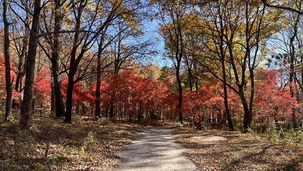 红石砬子抗日根据地遗址。受访者供图