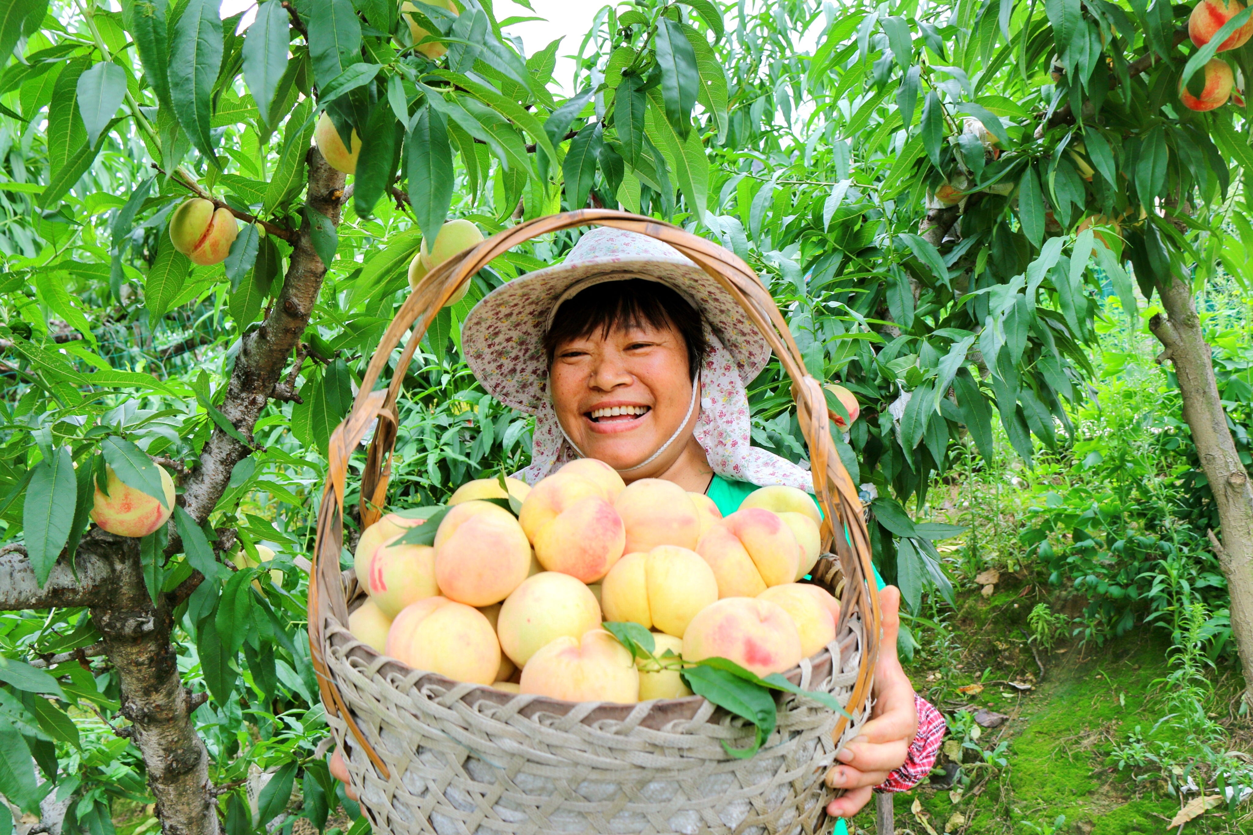 无锡惠山区半年报出炉:继续向“新”生长