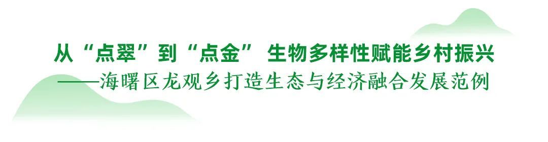 宁波十大“两山”实践典型案例丨海曙：从“点翠”到“点金” 生物多样性赋能乡村振兴