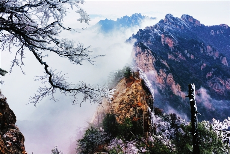 洛阳老君山风光。